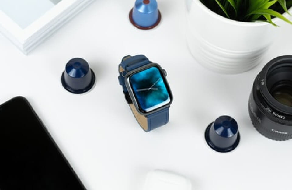 Mehr über den Artikel erfahren Dogs Do Their Duty for Science