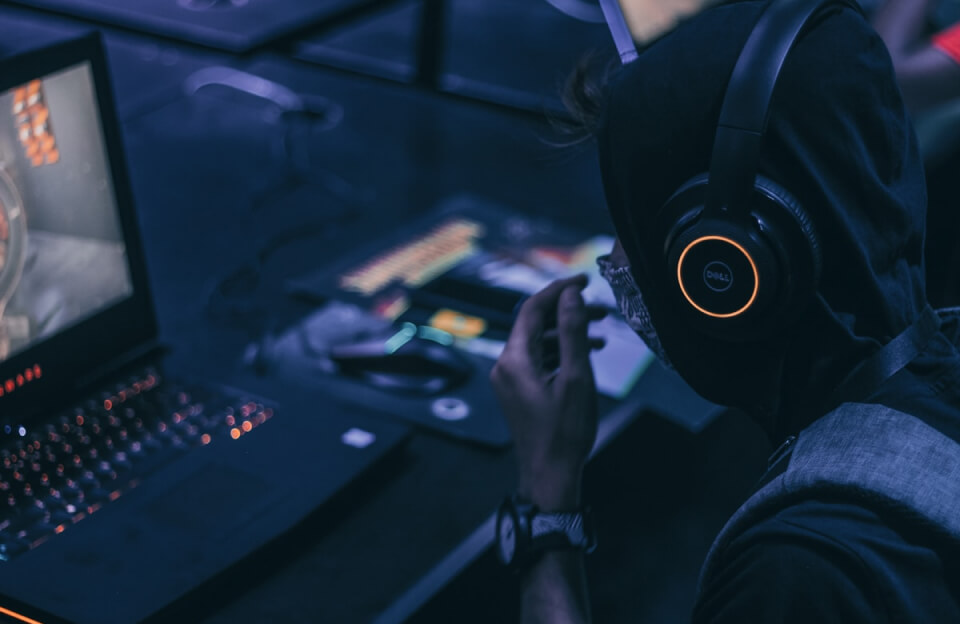 Mehr über den Artikel erfahren A Genetic Oddity May Give Octopuses and Squids Their Smarts