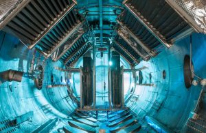 Mehr über den Artikel erfahren Scientists, Feeling Under Siege, March Against Trump Policies